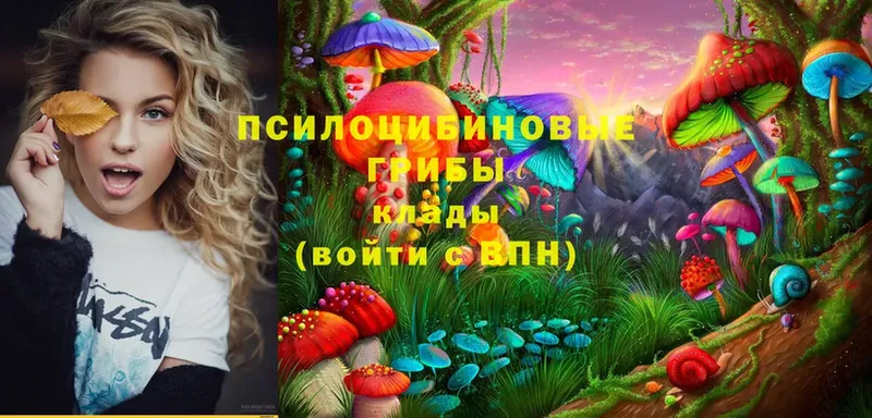 Псилоцибиновые грибы MAGIC MUSHROOMS  цены   Суоярви 